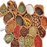 蒸發(fā)光散射檢測法在中藥領(lǐng)域蘊藏極大的效用